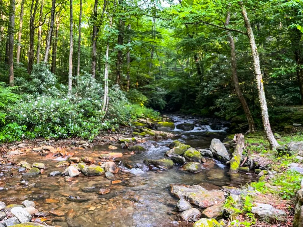TATE CITY RD Hayesville, NC 28904