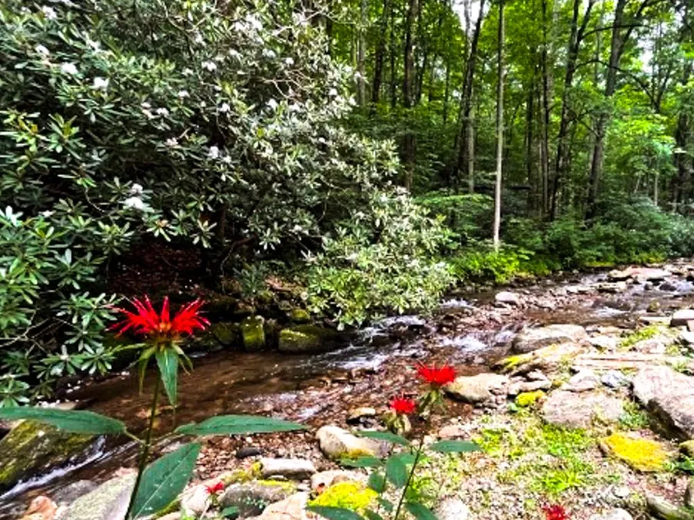 TATE CITY RD Hayesville, NC 28904