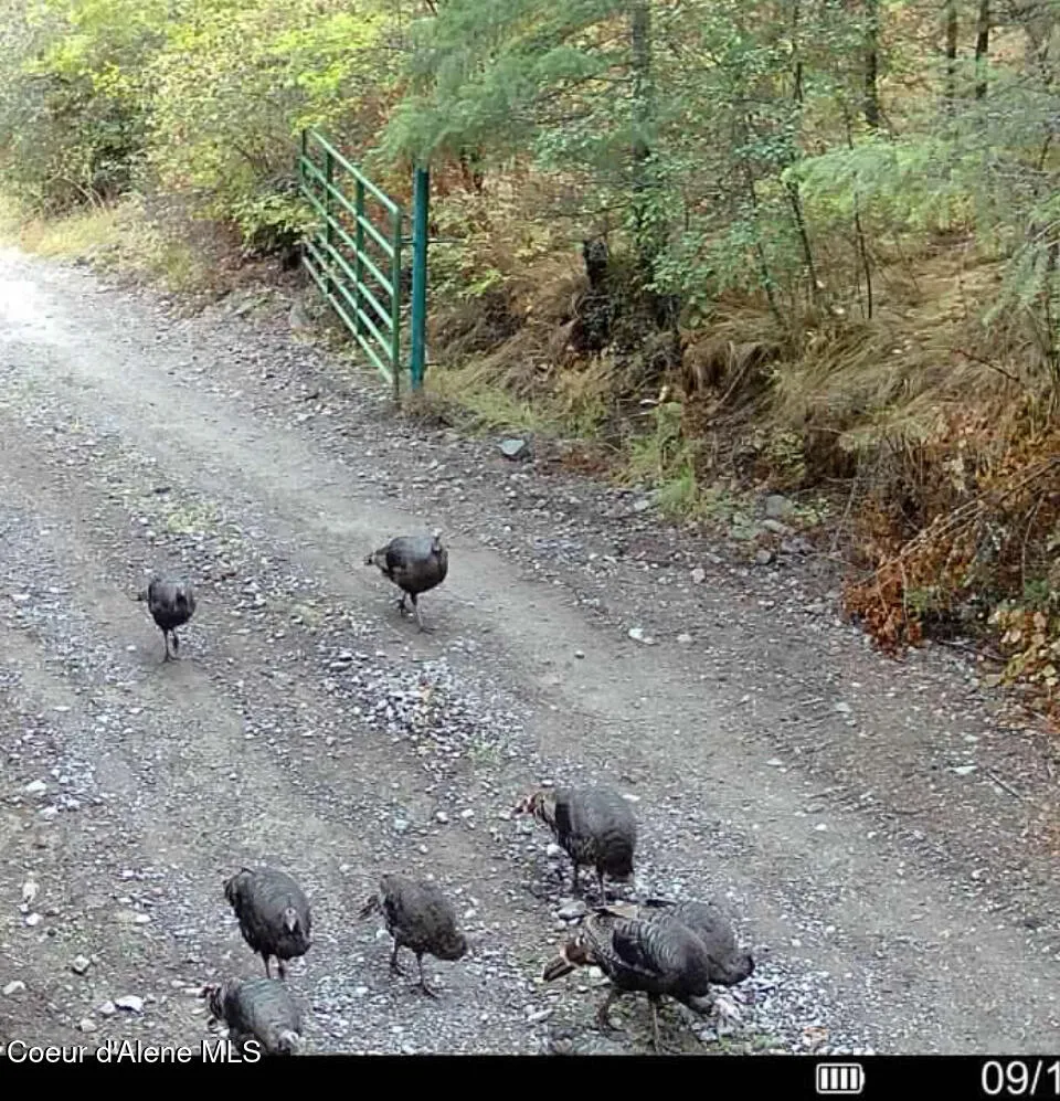 NKA Birdpoint Road Bonners Ferry, ID 83805