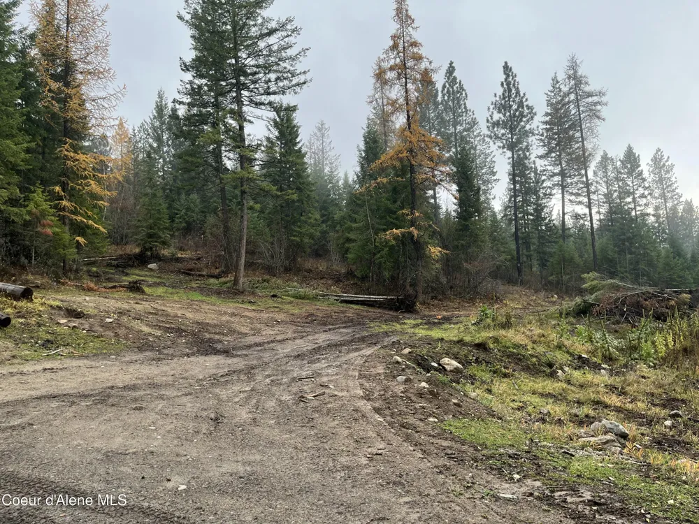 NKA Birdpoint Road Bonners Ferry, ID 83805