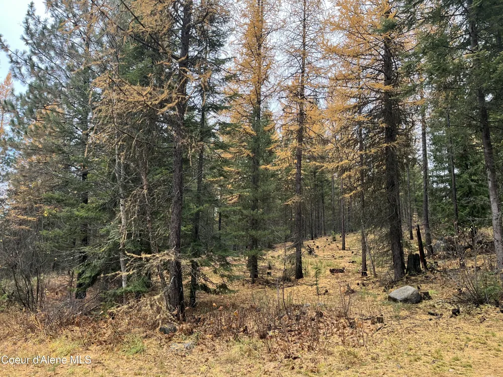 NKA Birdpoint Road Bonners Ferry, ID 83805