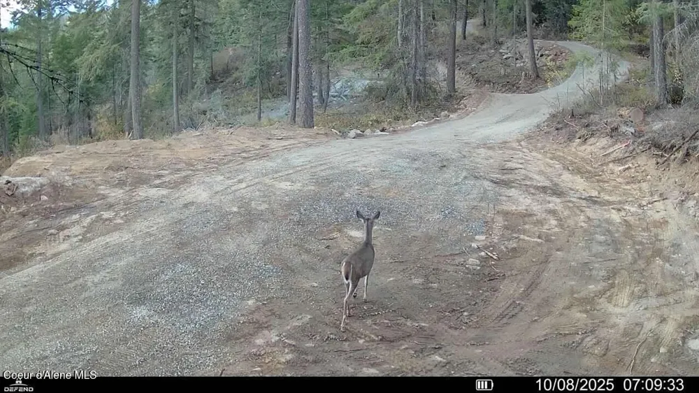 NKA Birdpoint Road Bonners Ferry, ID 83805