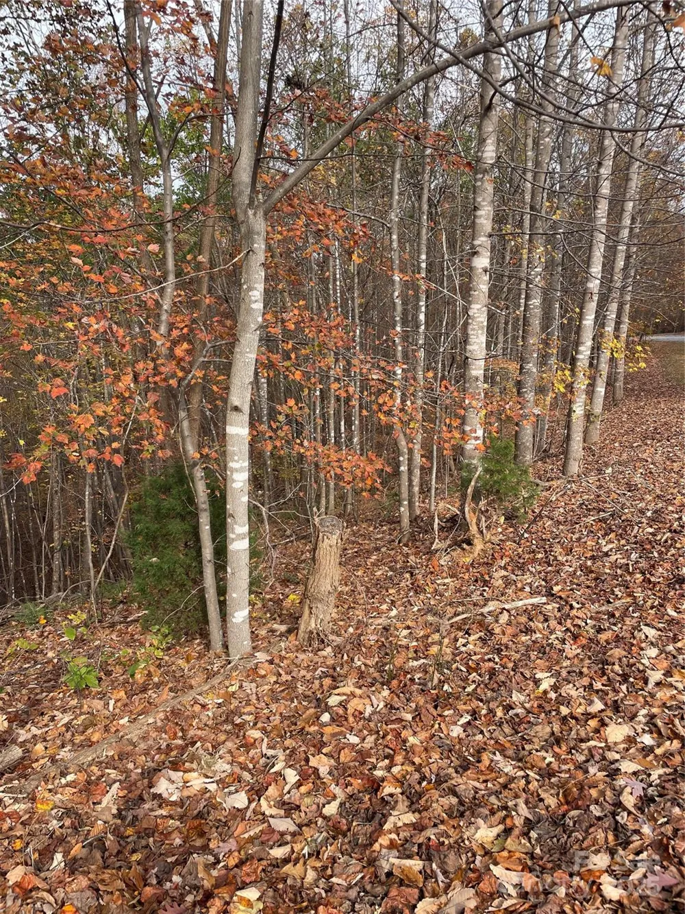V/L Lot 72 & 170 Black Lark Drive Marion, NC 28752