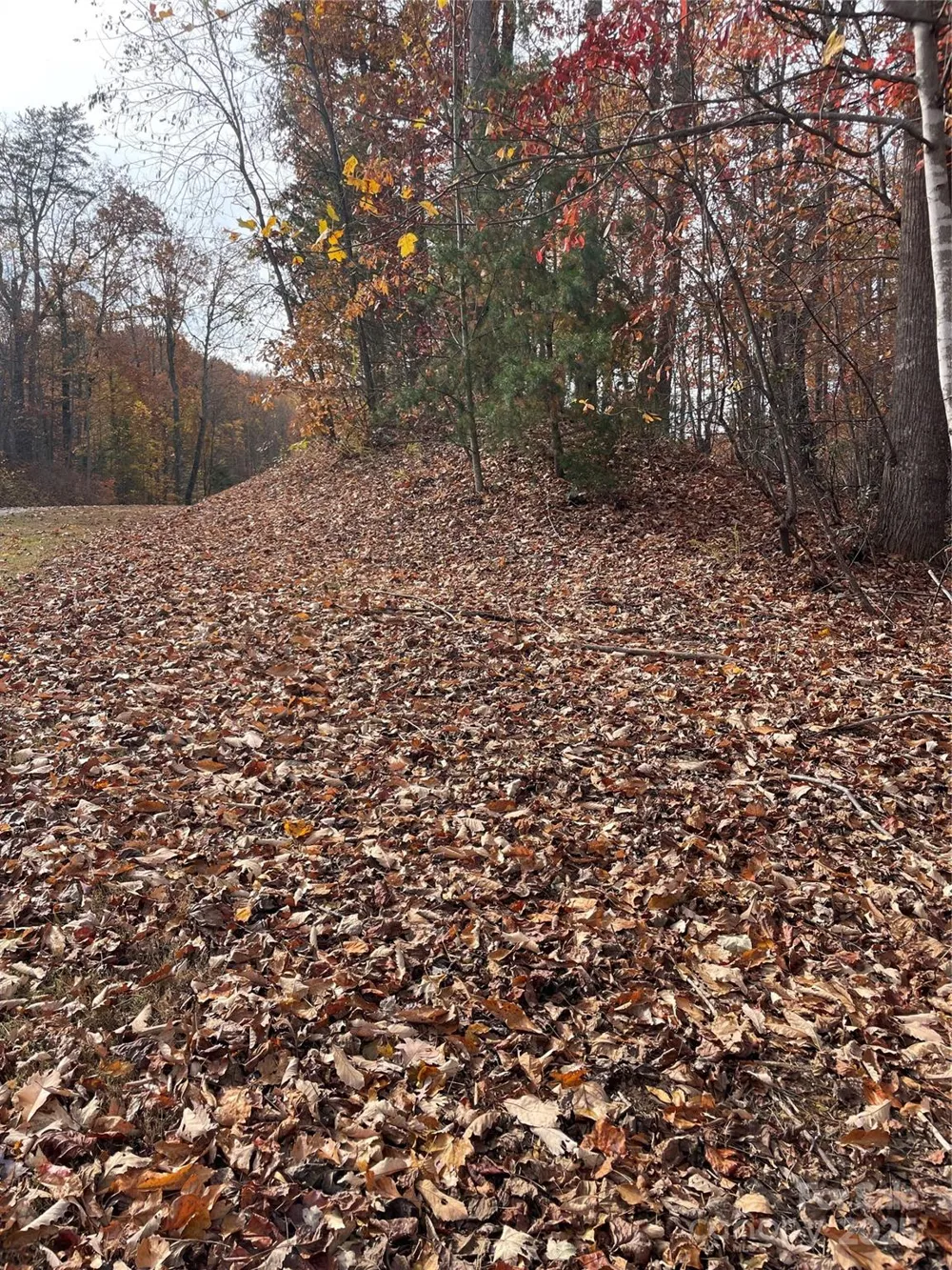 V/L Lot 72 & 170 Black Lark Drive Marion, NC 28752