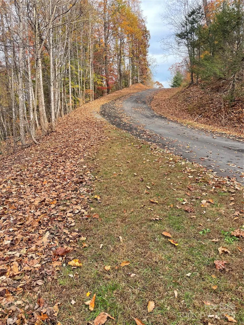 V/L Lot 72 & 170 Black Lark Drive Marion, NC 28752