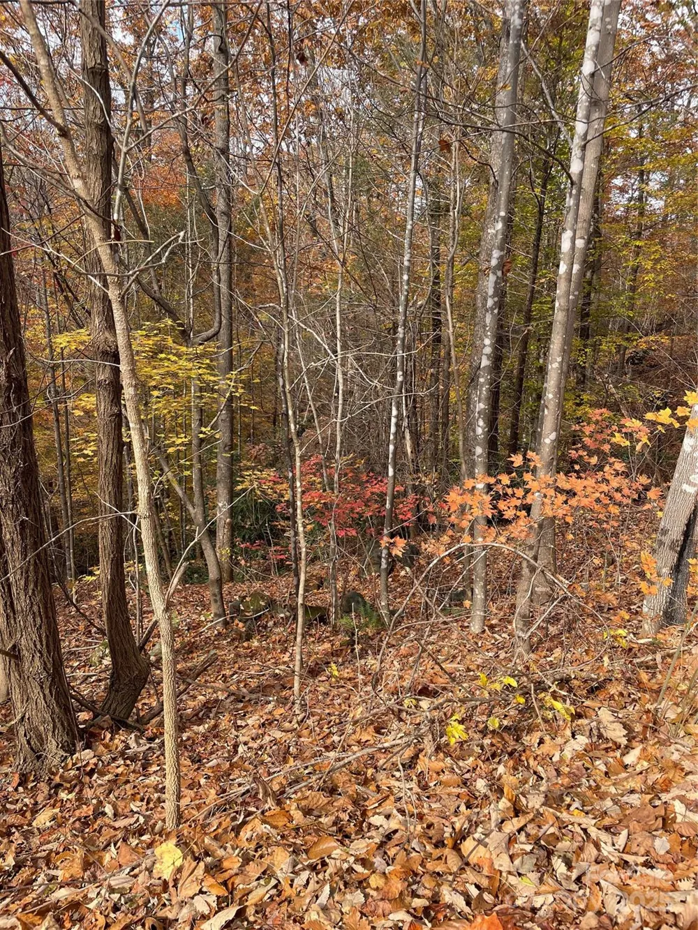 V/L Lot 72 & 170 Black Lark Drive Marion, NC 28752