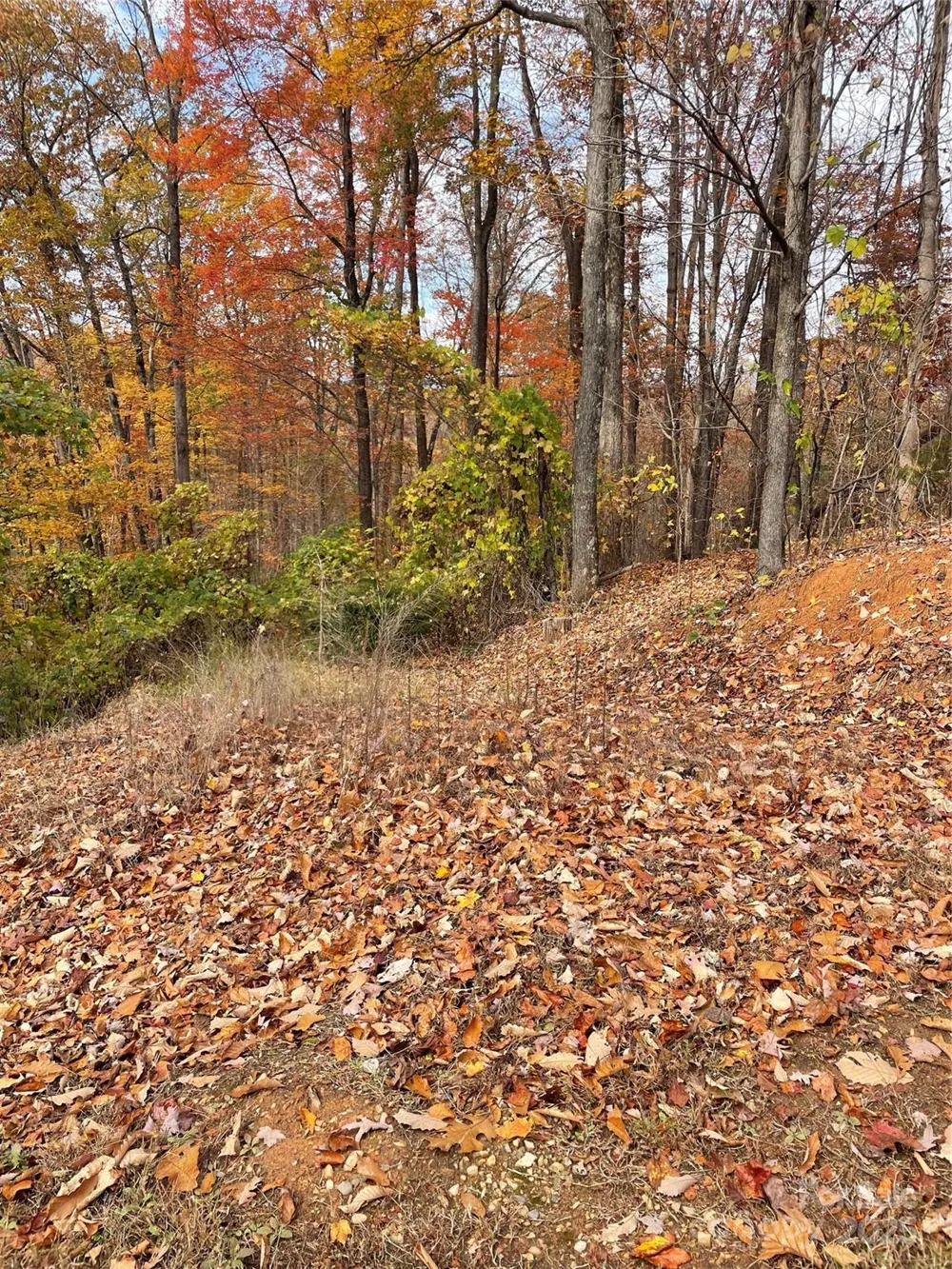 V/L Lot 72 & 170 Black Lark Drive Marion, NC 28752