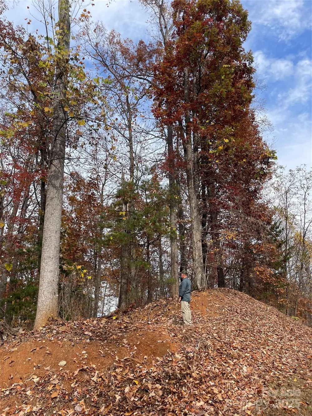 V/L Lot 72 & 170 Black Lark Drive Marion, NC 28752