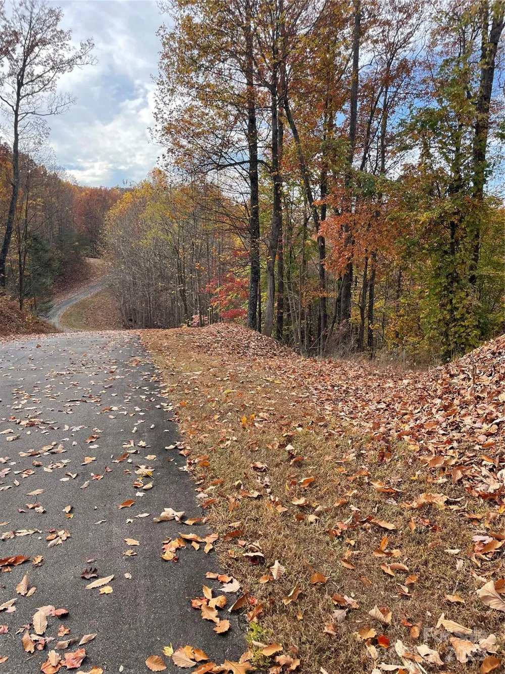 V/L Lot 72 & 170 Black Lark Drive Marion, NC 28752