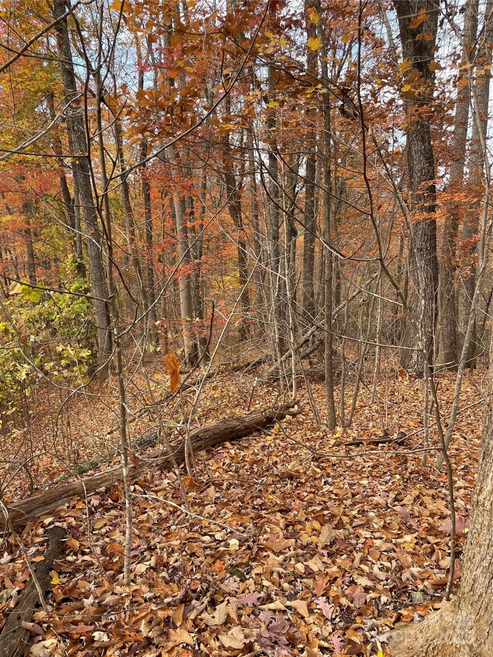 V/L Lot 72 & 170 Black Lark Drive Marion, NC 28752
