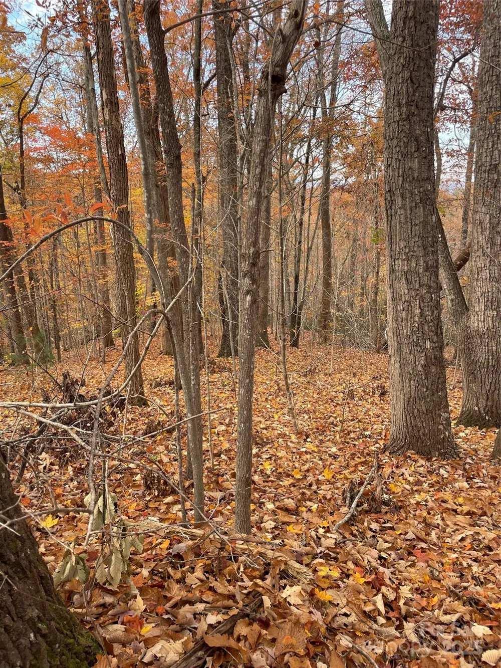 V/L Lot 72 & 170 Black Lark Drive Marion, NC 28752