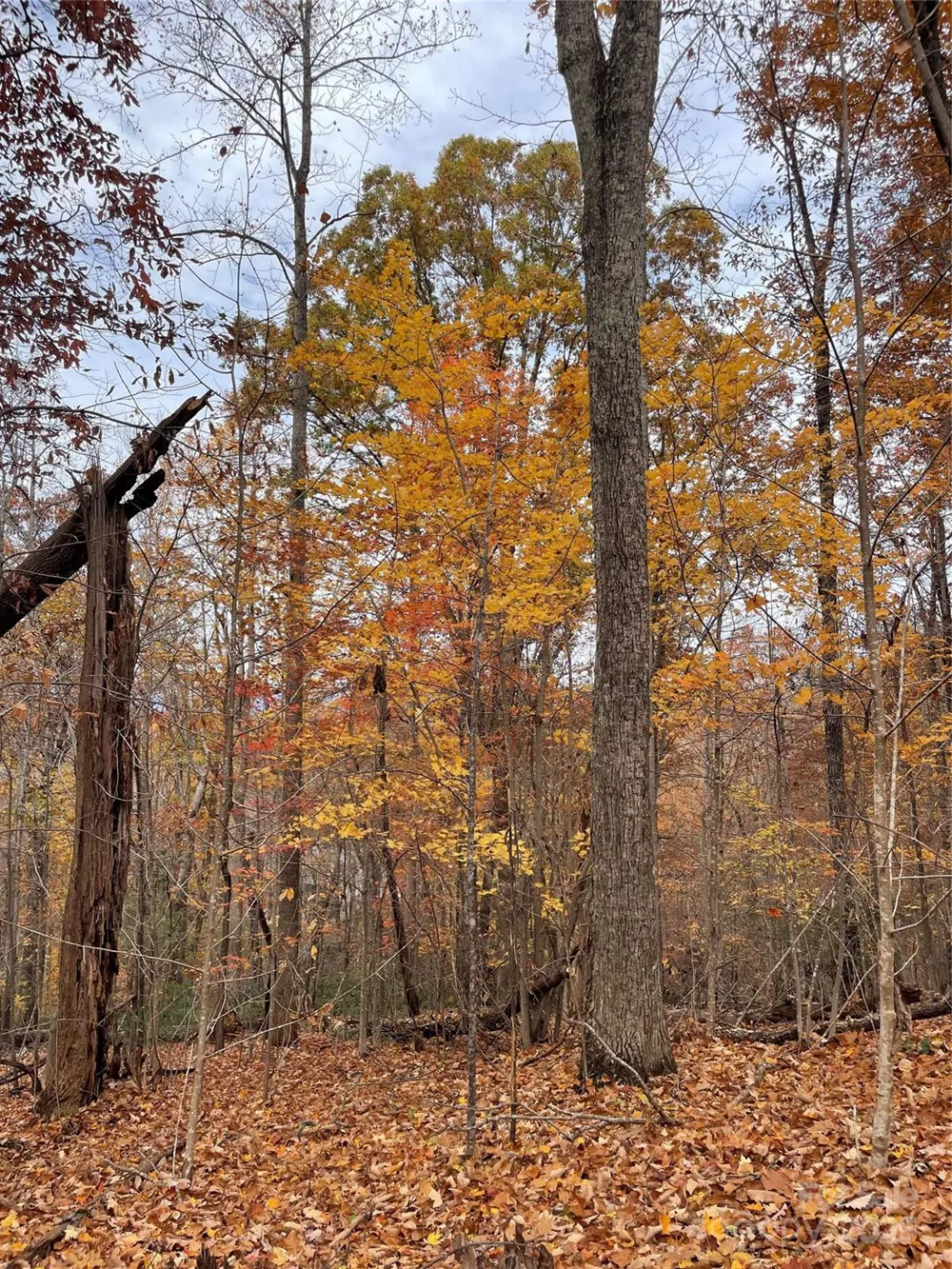 V/L Lot 72 & 170 Black Lark Drive Marion, NC 28752