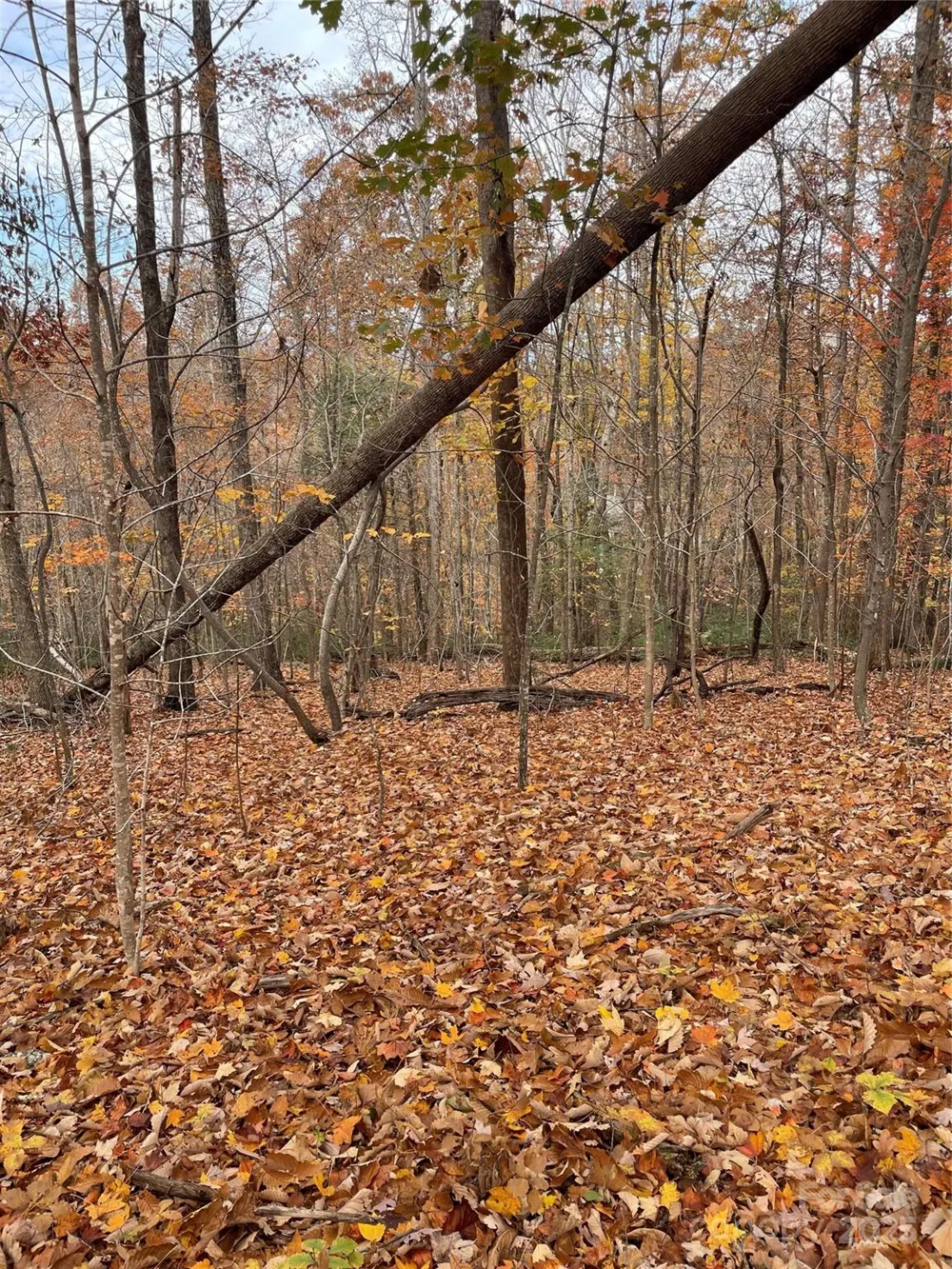 V/L Lot 72 & 170 Black Lark Drive Marion, NC 28752