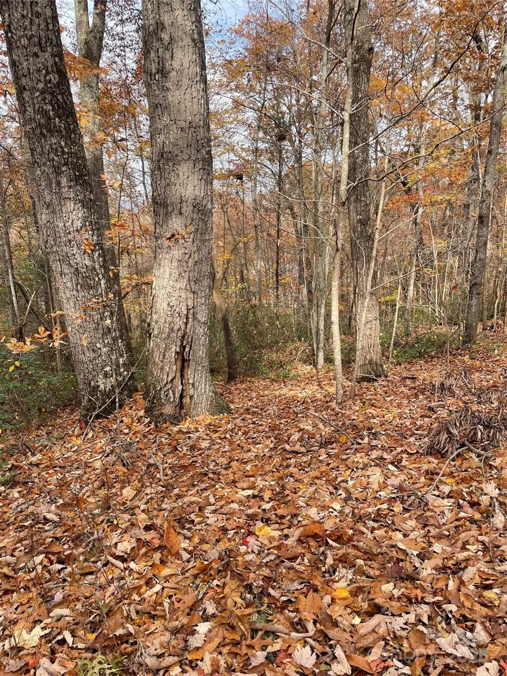 V/L Lot 72 & 170 Black Lark Drive Marion, NC 28752