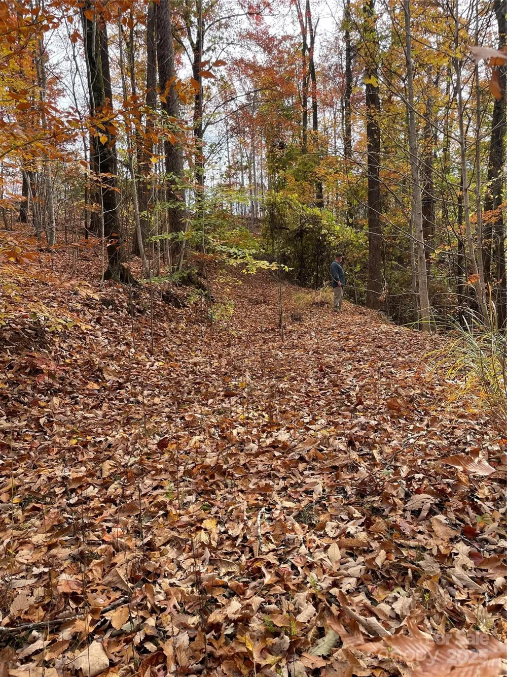 V/L Lot 72 & 170 Black Lark Drive Marion, NC 28752