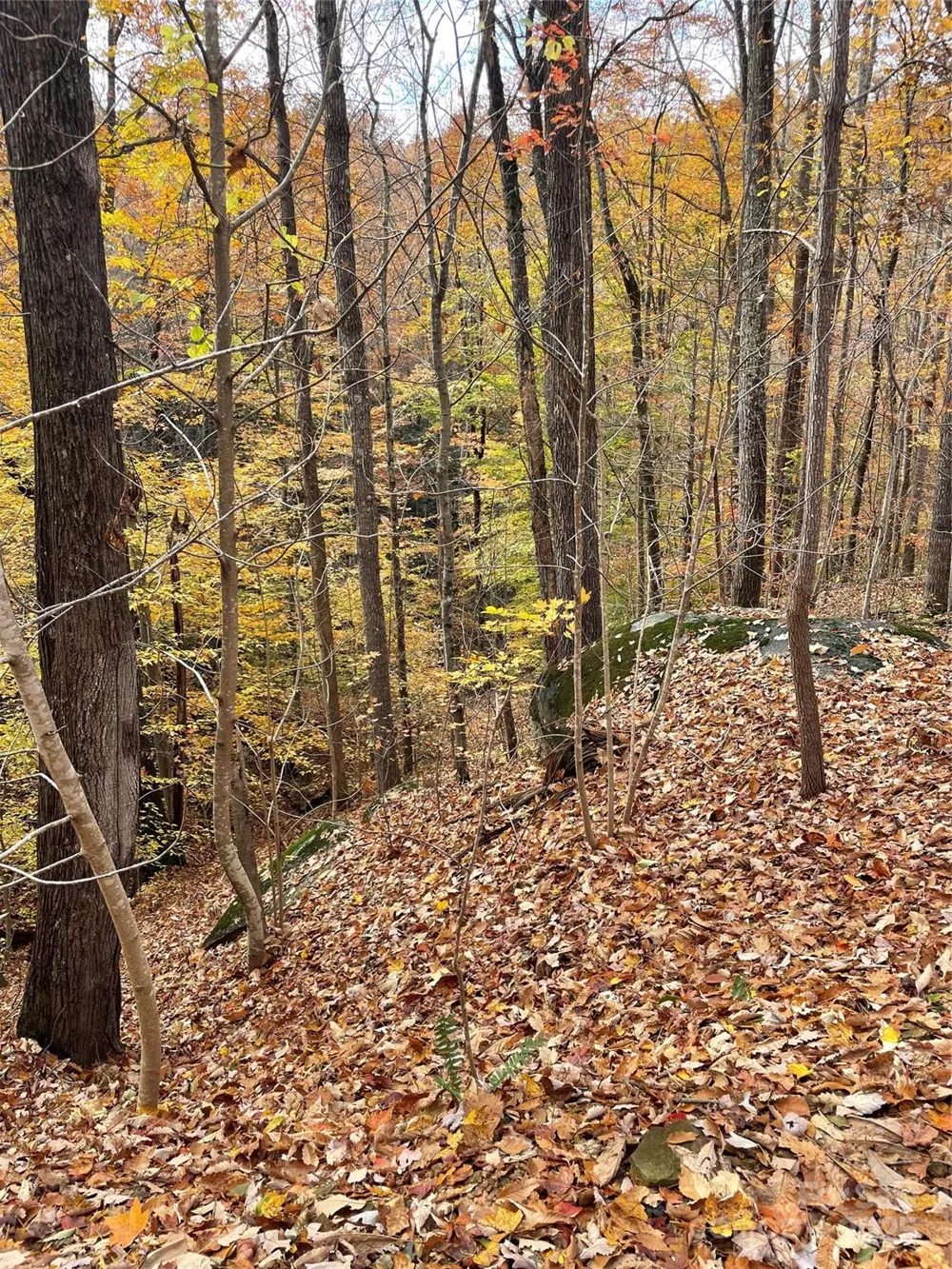 V/L Lot 72 & 170 Black Lark Drive Marion, NC 28752