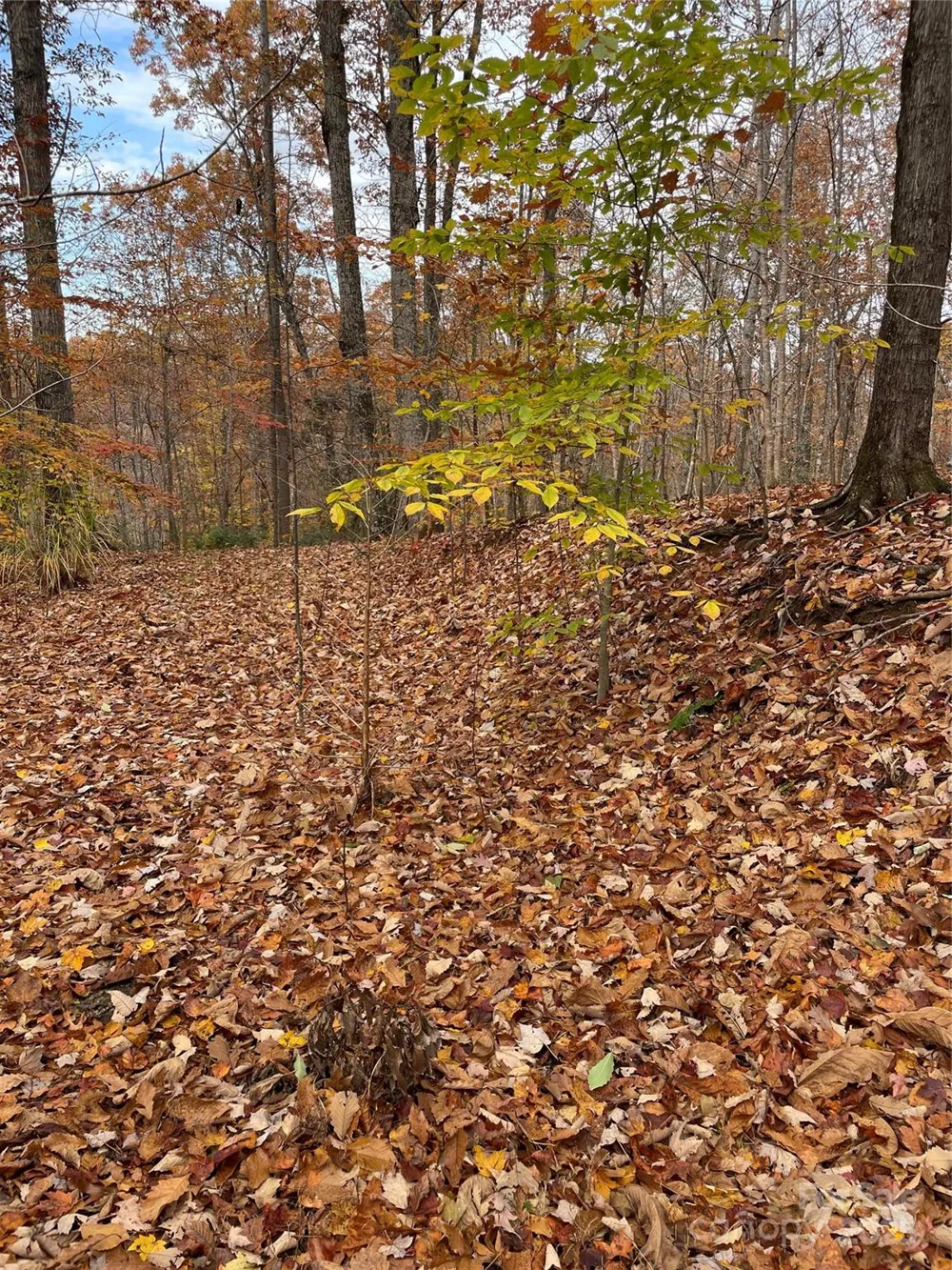V/L Lot 72 & 170 Black Lark Drive Marion, NC 28752