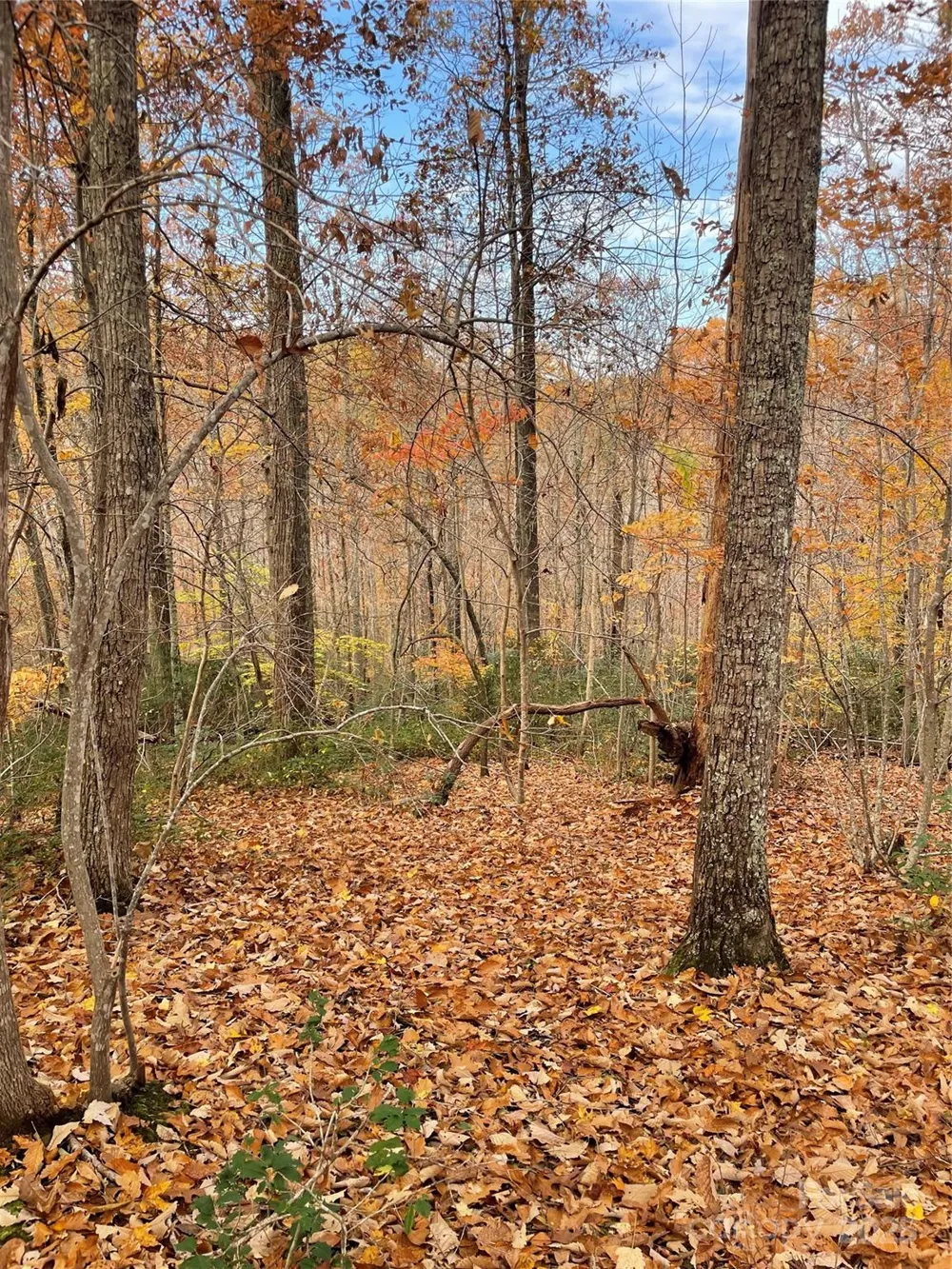 V/L Lot 72 & 170 Black Lark Drive Marion, NC 28752