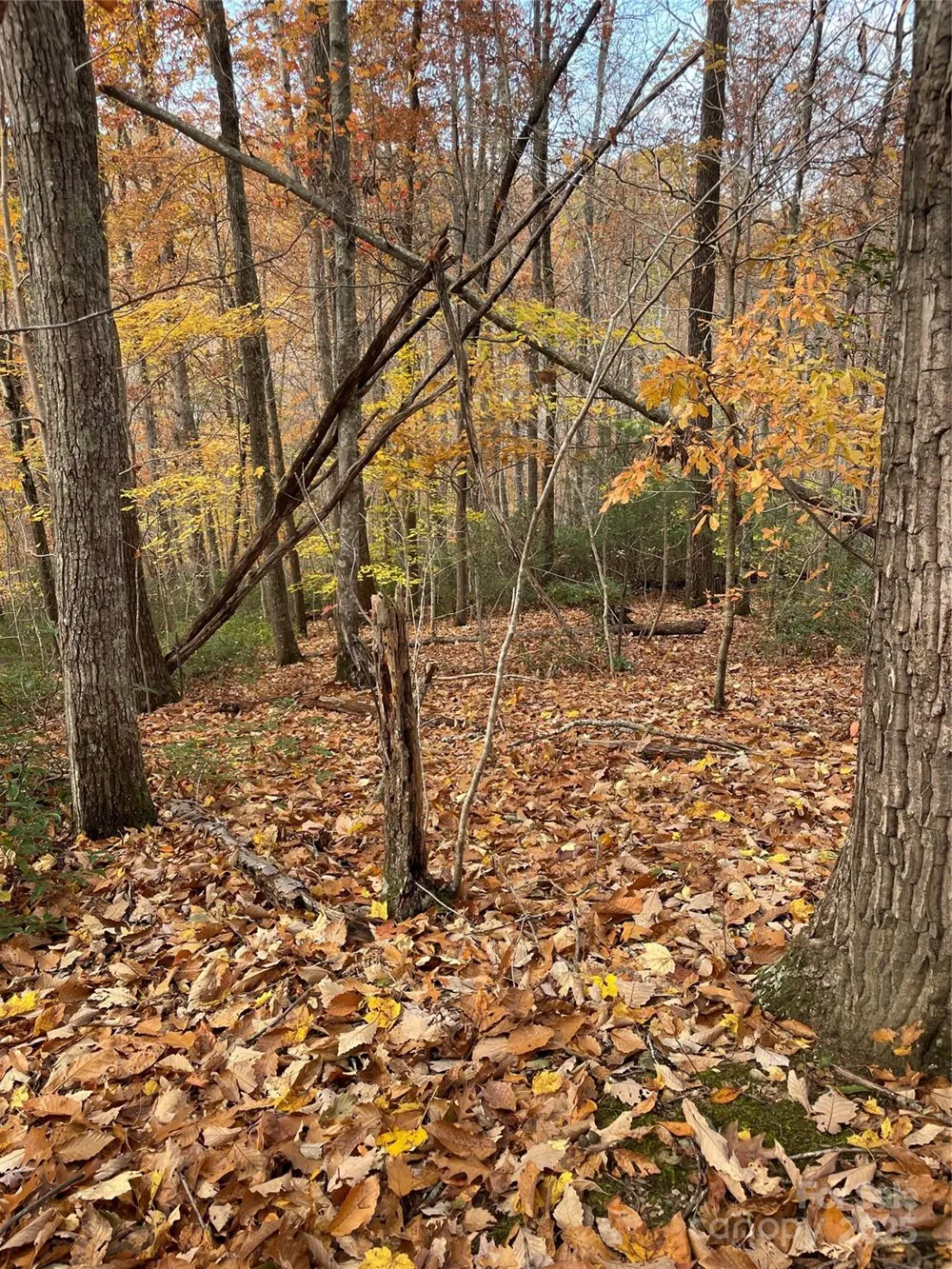 V/L Lot 72 & 170 Black Lark Drive Marion, NC 28752