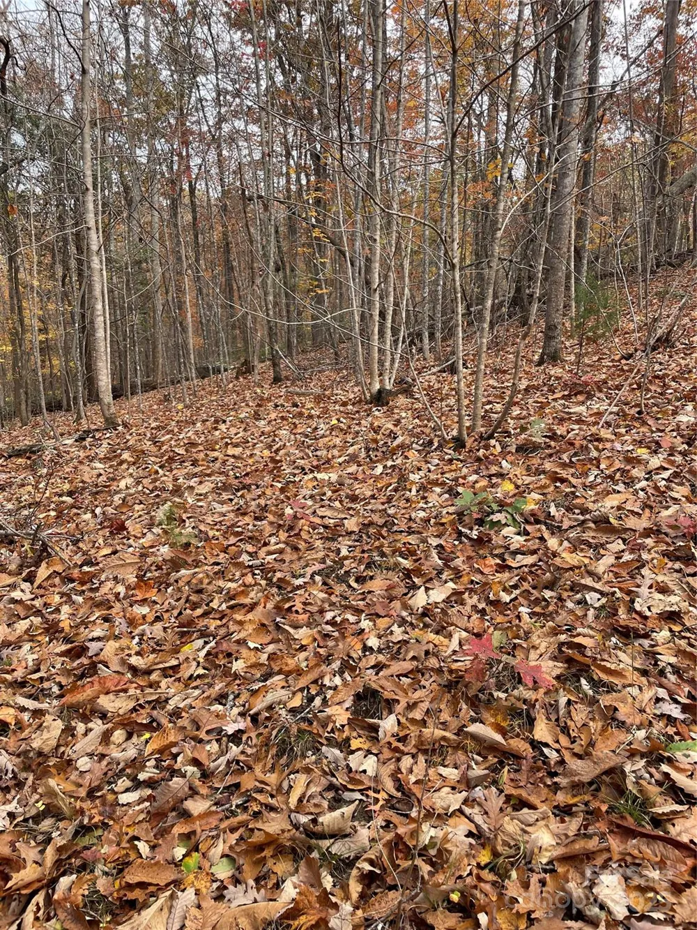 V/L Lot 72 & 170 Black Lark Drive Marion, NC 28752