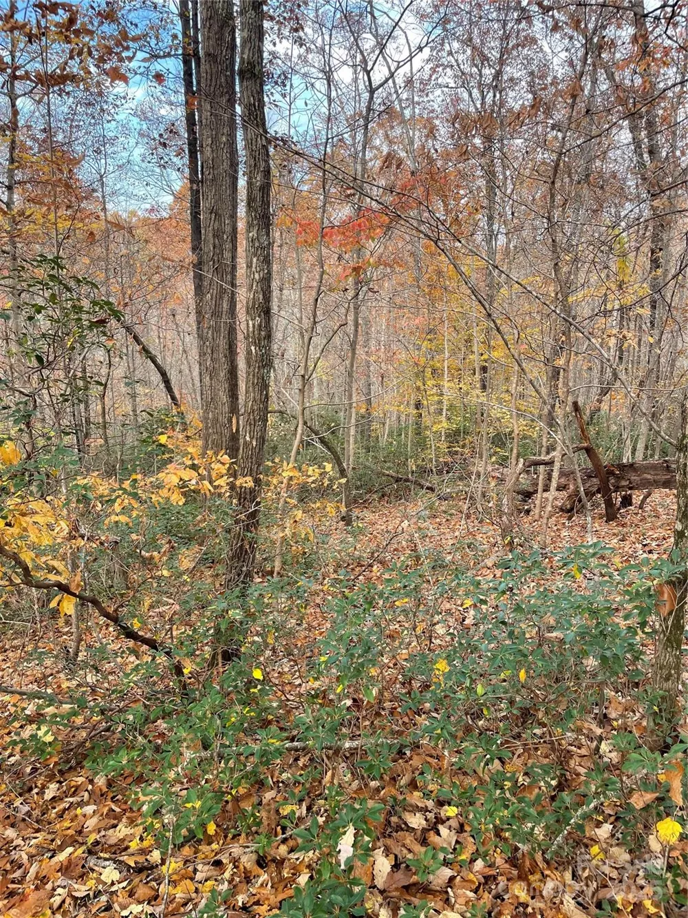 V/L Lot 72 & 170 Black Lark Drive Marion, NC 28752