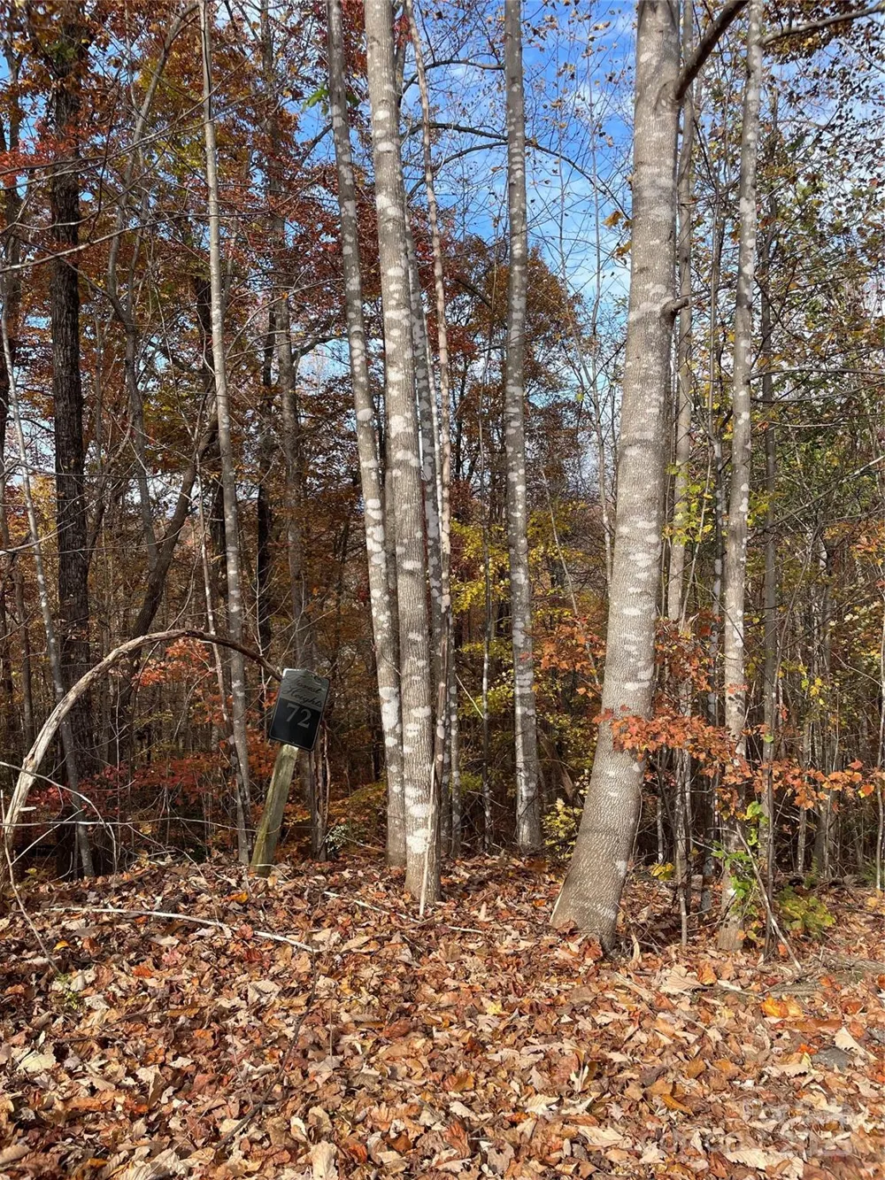 V/L Lot 72 & 170 Black Lark Drive Marion, NC 28752