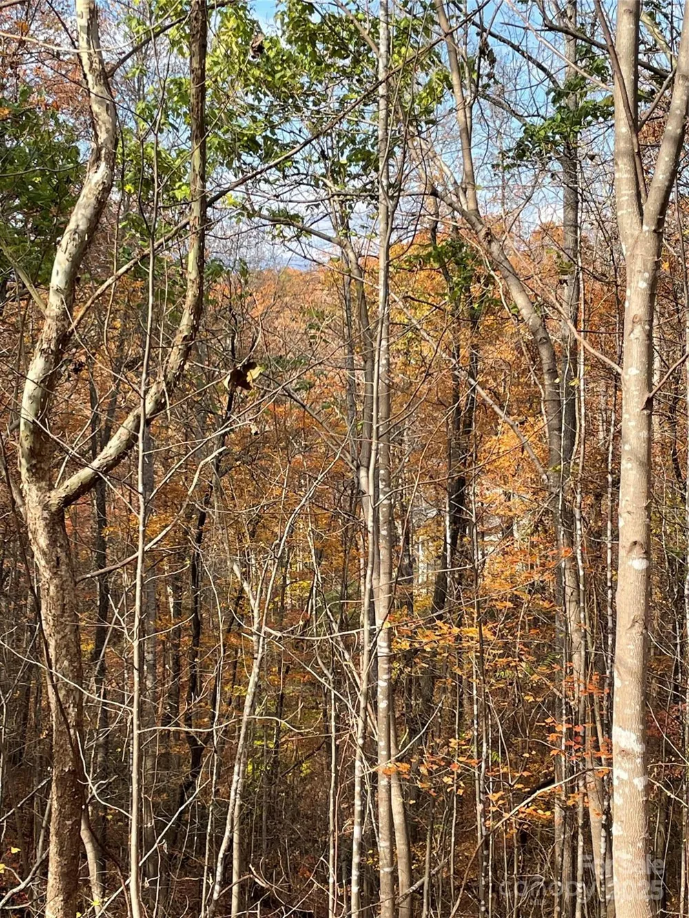 V/L Lot 72 & 170 Black Lark Drive Marion, NC 28752
