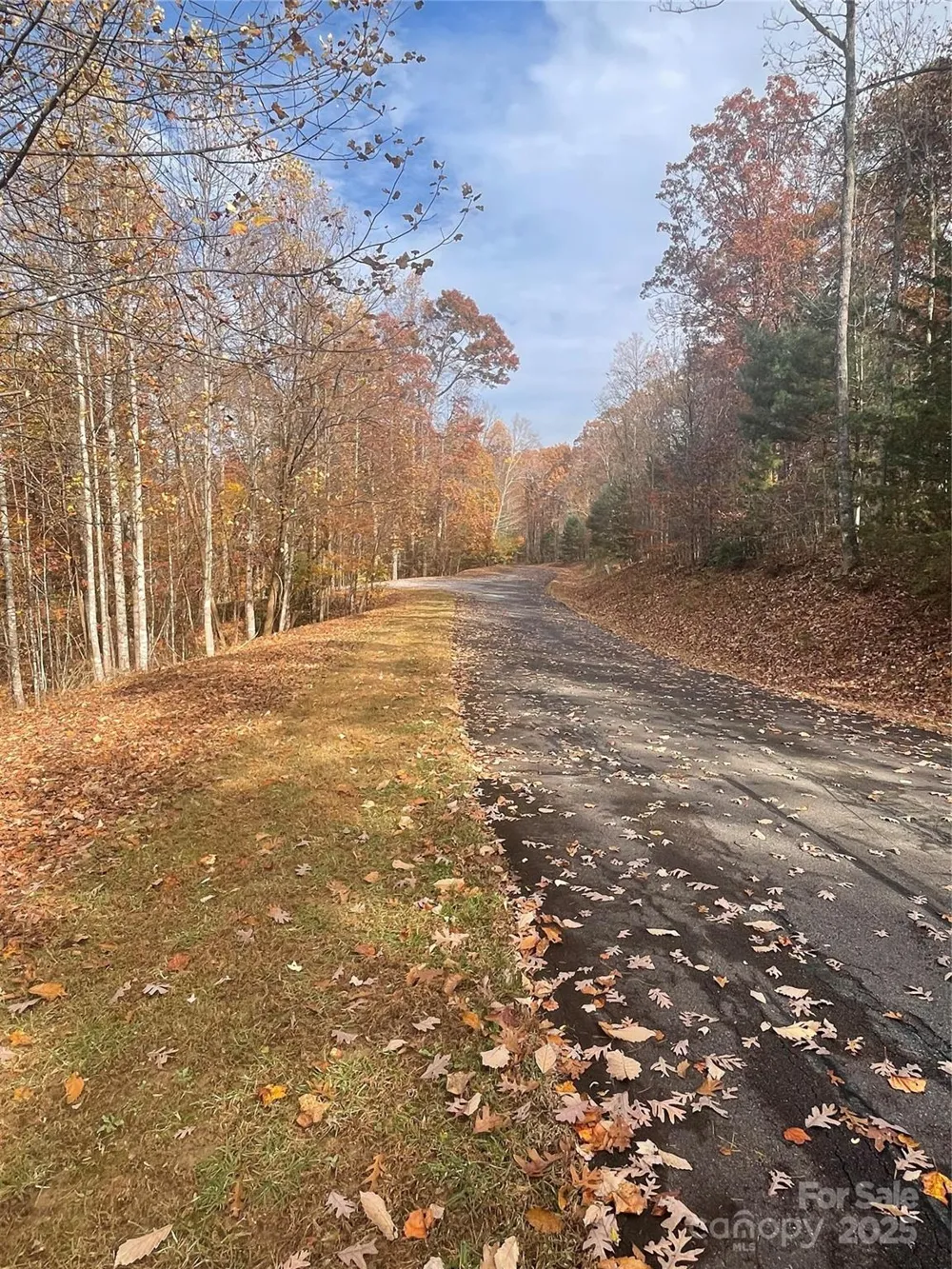 V/L Lot 72 & 170 Black Lark Drive Marion, NC 28752
