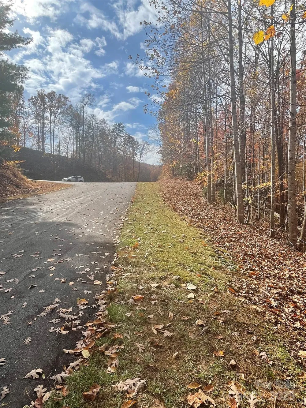 V/L Lot 72 & 170 Black Lark Drive Marion, NC 28752