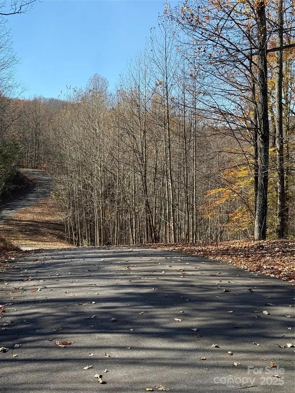 V/L Lot 72 & 170 Black Lark Drive Marion, NC 28752