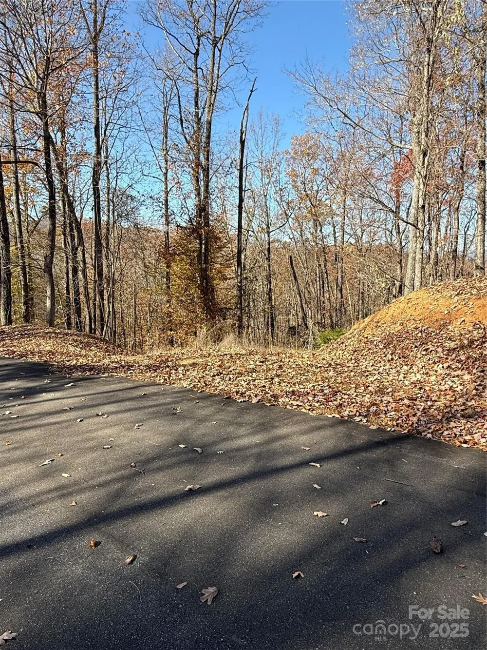 V/L Lot 72 & 170 Black Lark Drive Marion, NC 28752