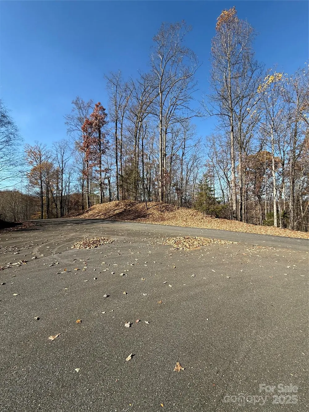 V/L Lot 72 & 170 Black Lark Drive Marion, NC 28752