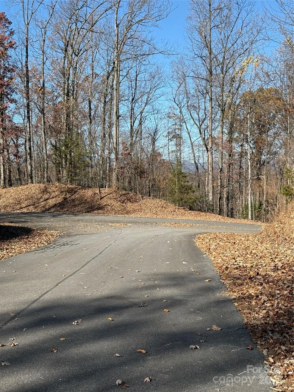 V/L Lot 72 & 170 Black Lark Drive Marion, NC 28752