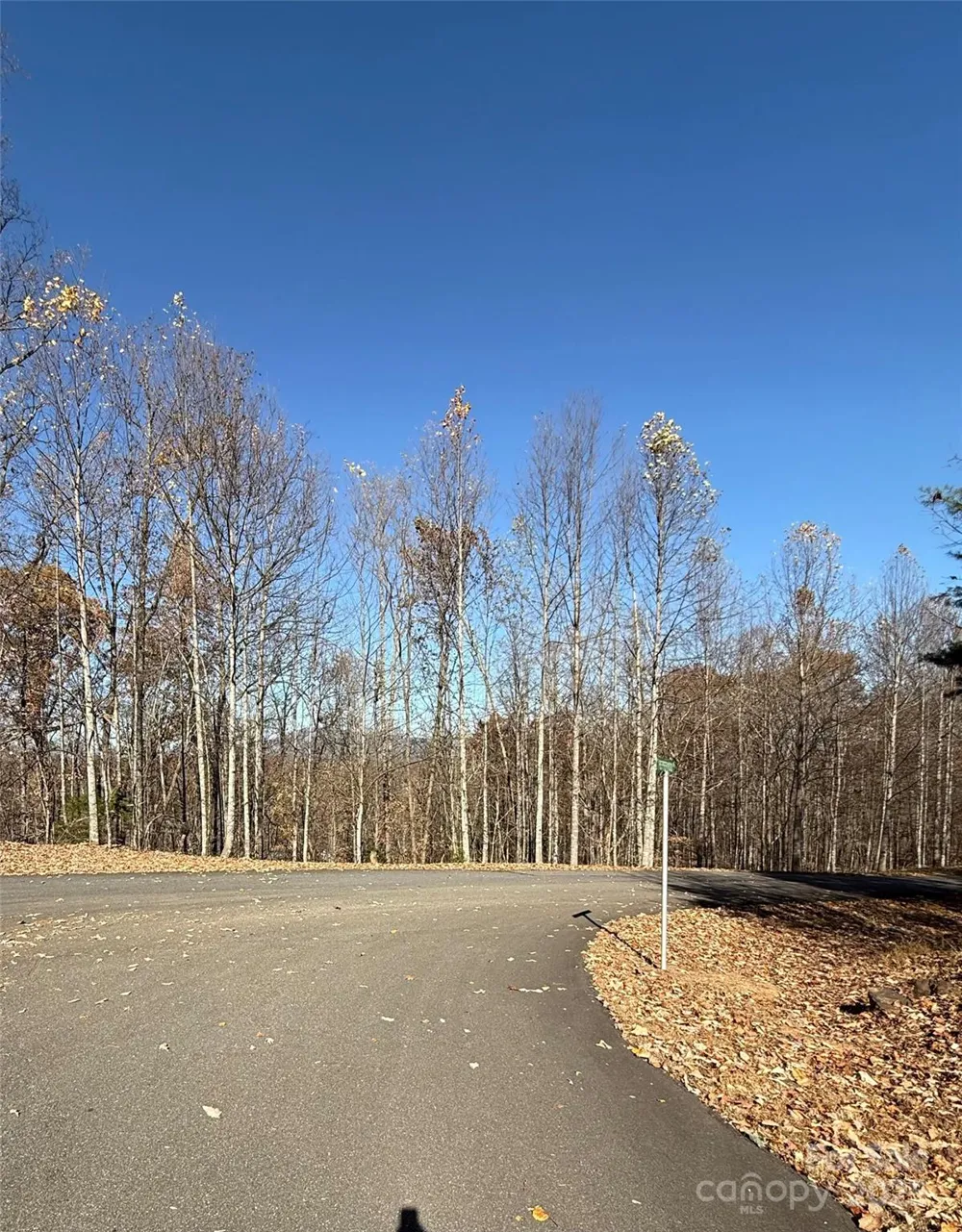 V/L Lot 72 & 170 Black Lark Drive Marion, NC 28752