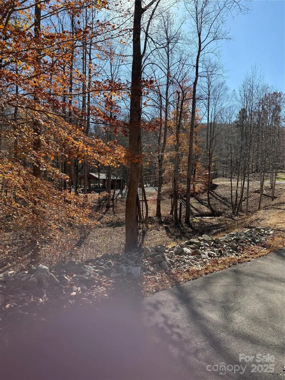 V/L Lot 72 & 170 Black Lark Drive Marion, NC 28752