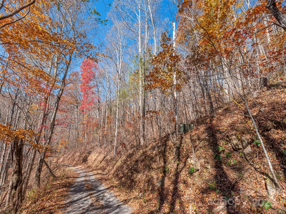 112 & 113 Grouse Road Clyde, NC 28721
