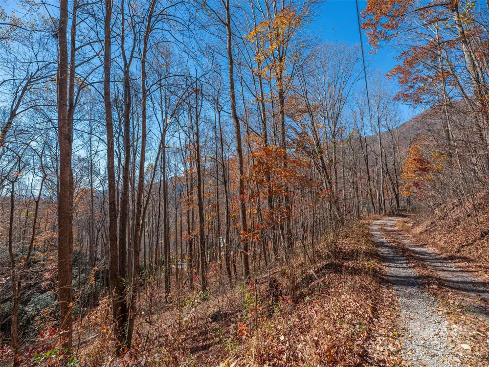 112 & 113 Grouse Road Clyde, NC 28721