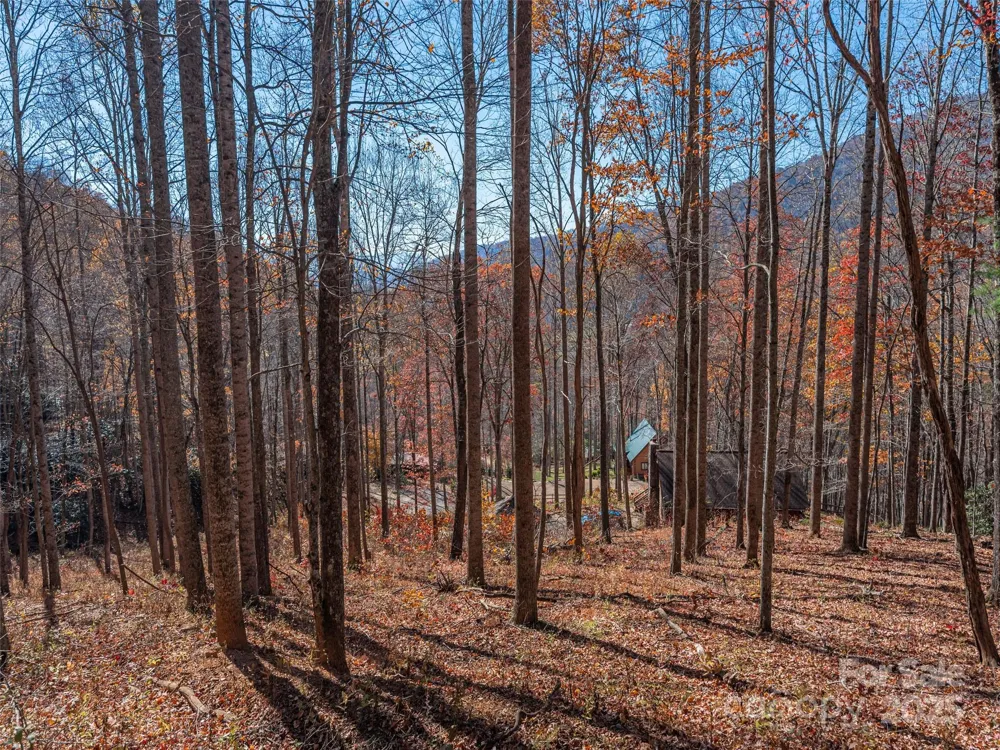 112 & 113 Grouse Road Clyde, NC 28721
