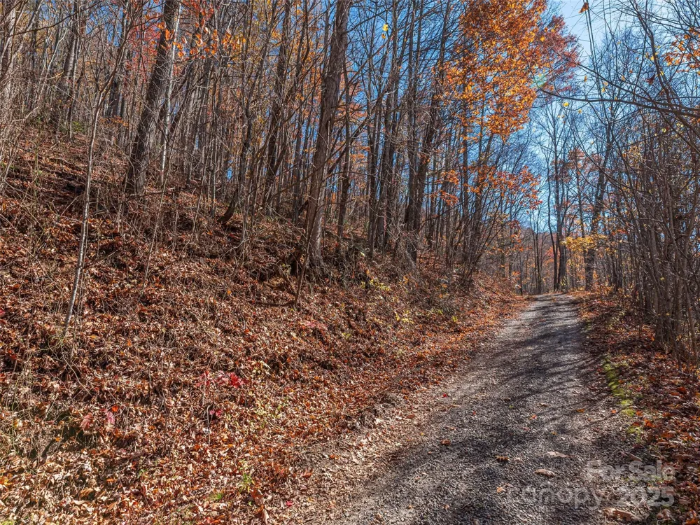112 & 113 Grouse Road Clyde, NC 28721