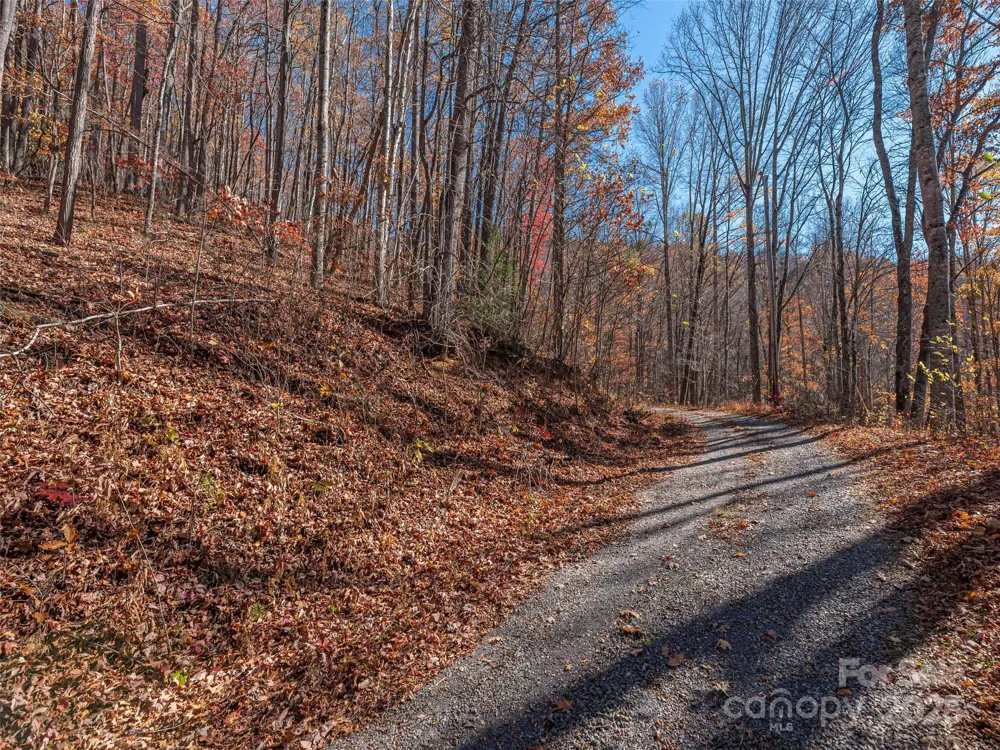 112 & 113 Grouse Road Clyde, NC 28721