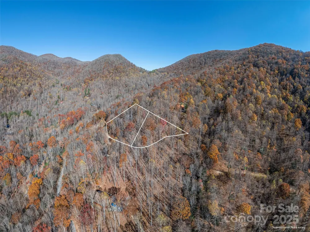 112 & 113 Grouse Road Clyde, NC 28721