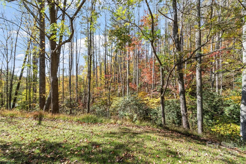 96 Thompson Road Spruce Pine, NC 28777