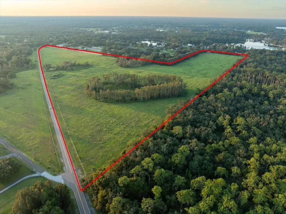 16405 BOY SCOUT ROAD Odessa, FL 33556