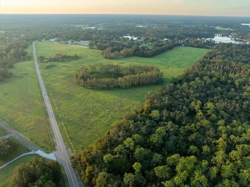16405 BOY SCOUT ROAD Odessa, FL 33556