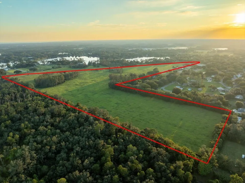 16405 BOY SCOUT ROAD Odessa, FL 33556