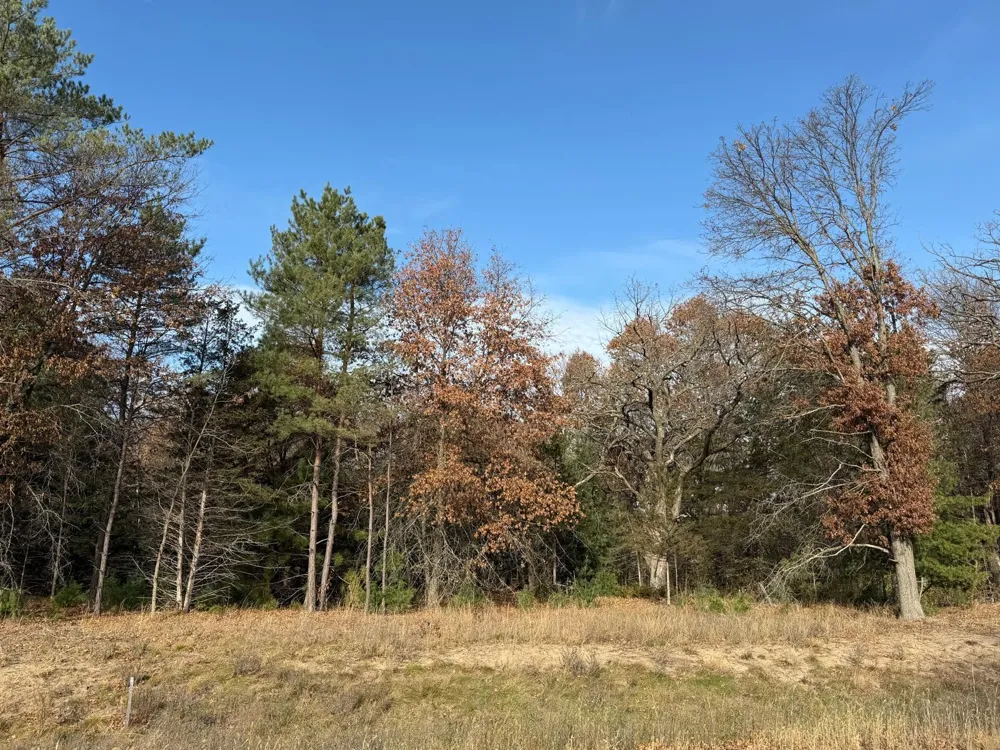 L6,Blk1 262nd Avenue NW Big Lake, MN 55309