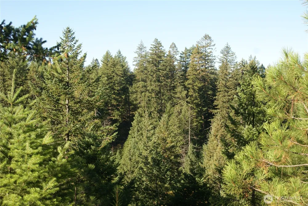 8 Ginger Way Goldendale, WA 98620