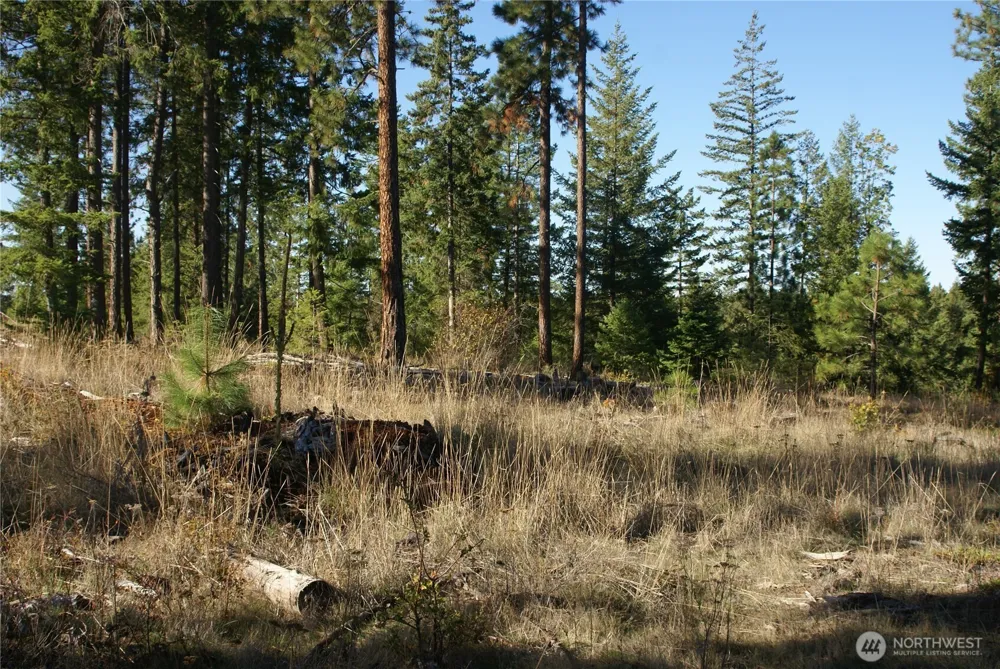 8 Ginger Way Goldendale, WA 98620
