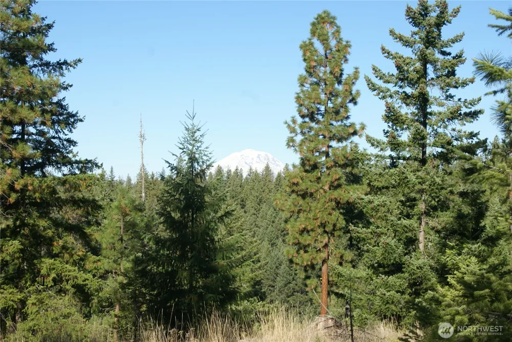 8 Ginger Way Goldendale, WA 98620