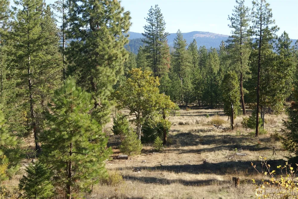8 Ginger Way Goldendale, WA 98620